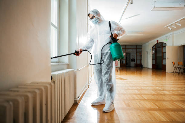 Best Pest Prevention Services  in Corona De Tucson, AZ